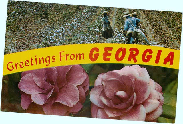 Ray Milland Postcard