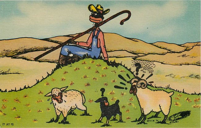 Black Americana Postcard Black man on top of hill watching sheep