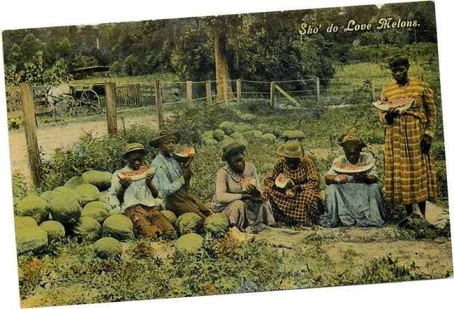 Black Americana Postcard - Black people eating Watermelons