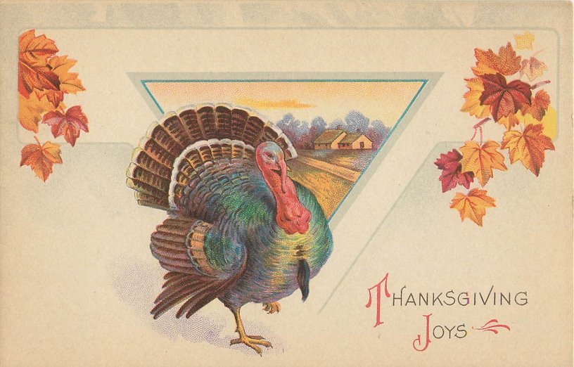 Thanksgiving Joys Postcard --Turkey, Autumn Leaves,