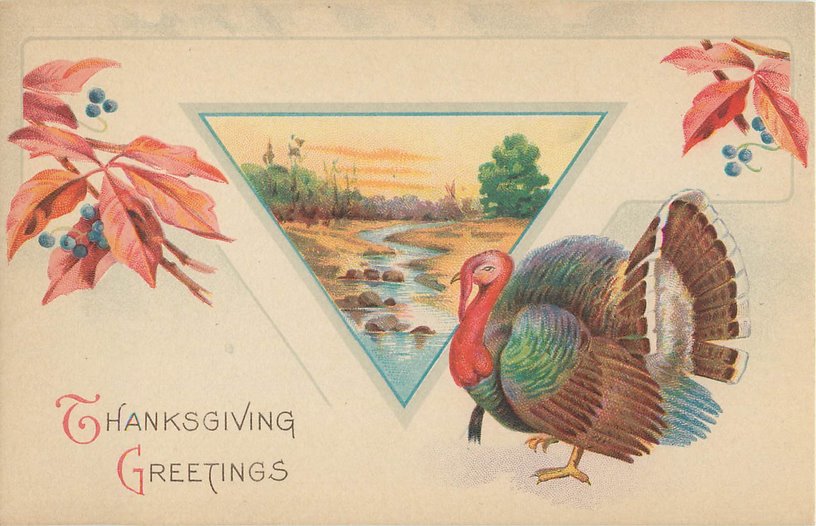 Thanksgiving Greetings Postcard --Turkey, Leaves