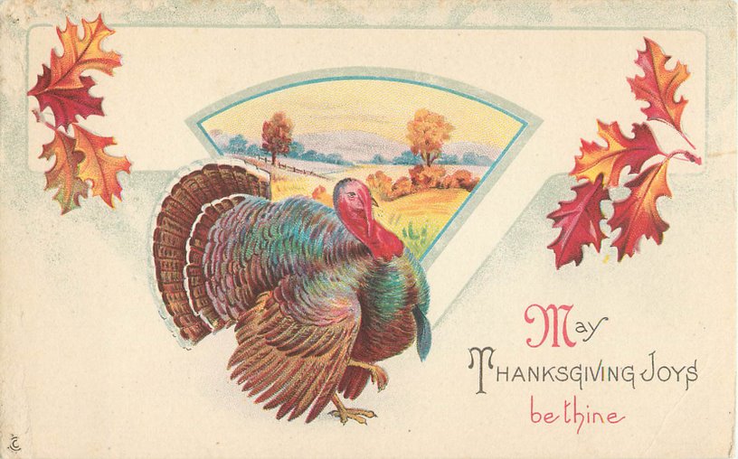 Thanksgiving Greeting Postcard --Turkey, Grape Vines