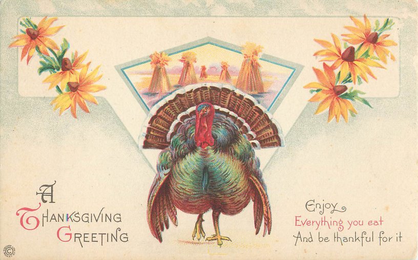 A Thanksgiving Greeting Postcard --Turkey, Sunflowers