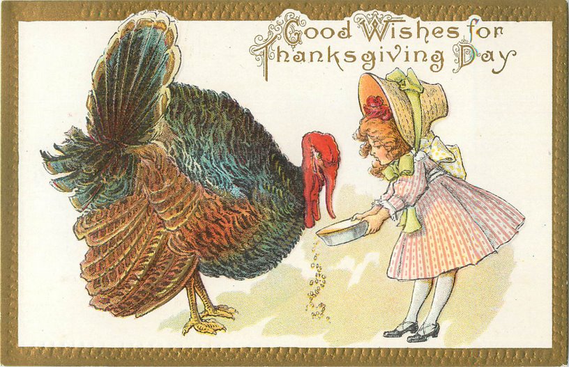 Good Wishes for Thanksgiving Day Postcard - Girl feeding turkey.