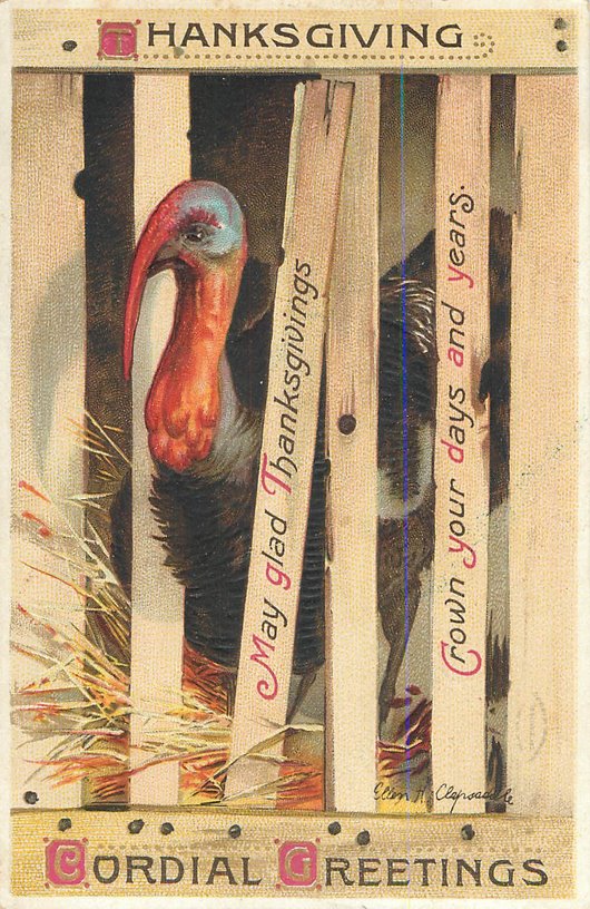 Thanksgiving Turkey "Cordial Greetings" Postcard