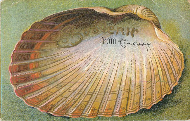 "Souvenir From" card. Large open half seashell (copy 2)