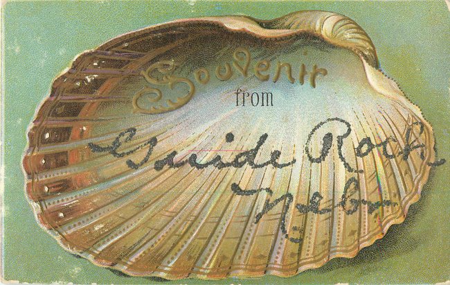 "Souvenir From" card. Large open half seashell (copy1)