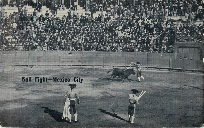 Bull Fight -- Mexico City