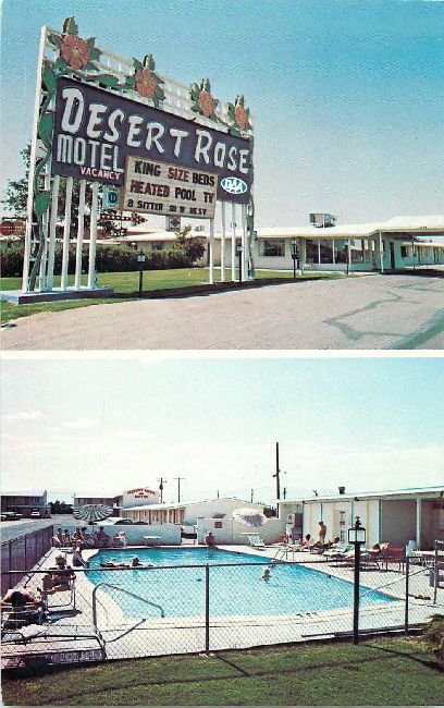 Desert Rose Motel Postcard