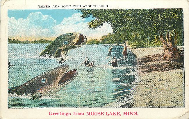 Greetings from Moose Lake, Minn.