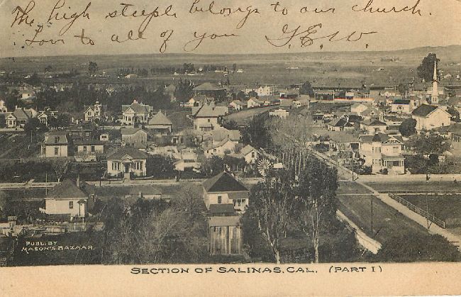 Section of Salinas, California Postcard Postmarked 1907