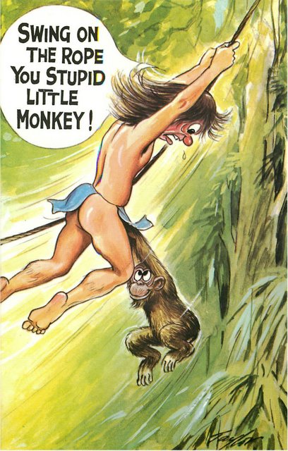 "Stupid Little Monkey" Bamforth Comic Postcard
