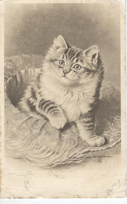 CAT Postcard 1904 SIGNED