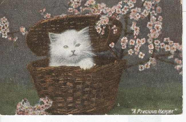 CAT Postcard, 1910 "A Precious Hamper"