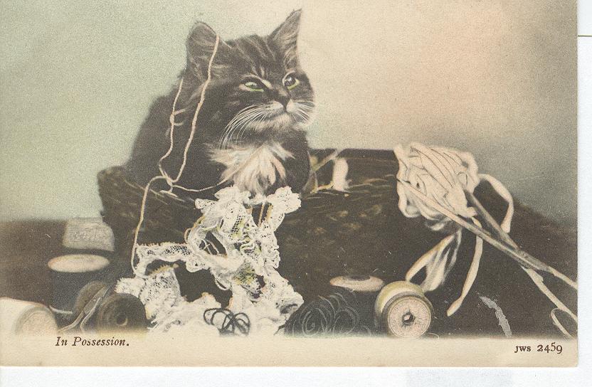 CAT Postcard "In Possession"