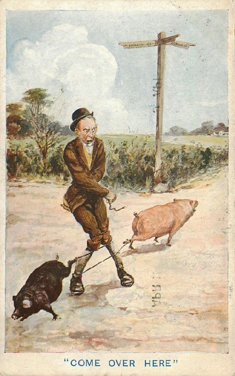 "Come over here" - Two Pigs Tying Up Man