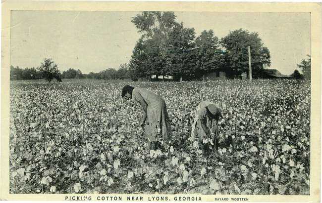 Picking Cotton Near Lyons, Georgia - Bayard Wootten postcard