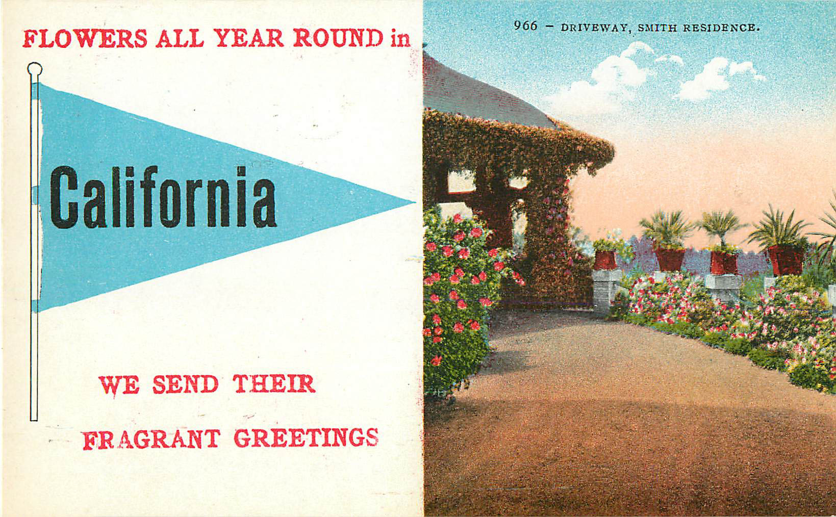 Flowers All Year Round in California - Pennant Postcard