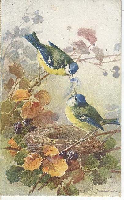 Artist Signed Postcard - C. Klein Two Birds And A Nest