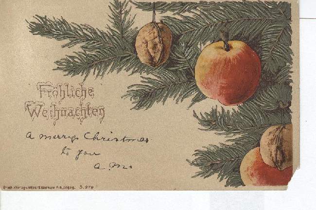 german Christmas Postcard Frohliche Weihnachten Fruit on Pine