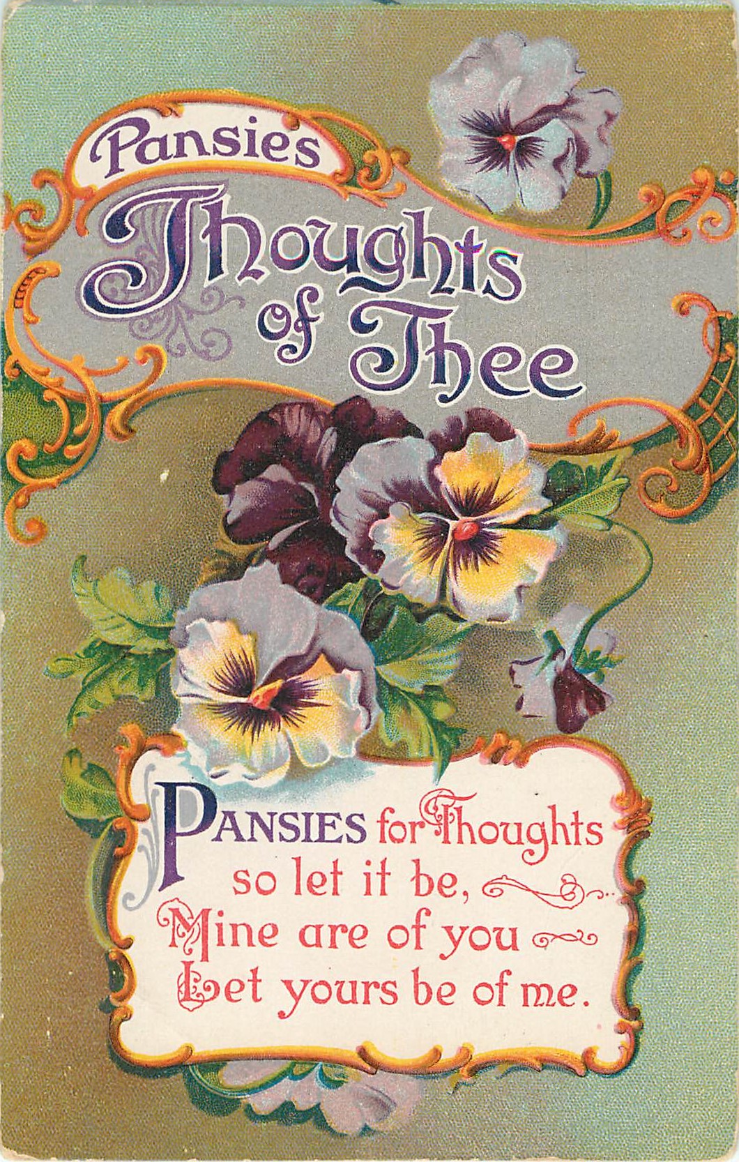 Pansies Thoughts of Thee