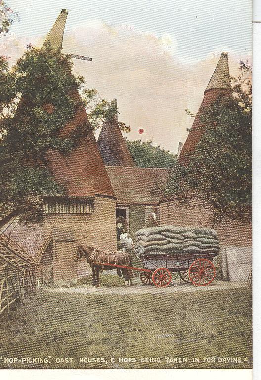 "Hop Picking" Oast Houses, & Hops Being Taken in For Drying