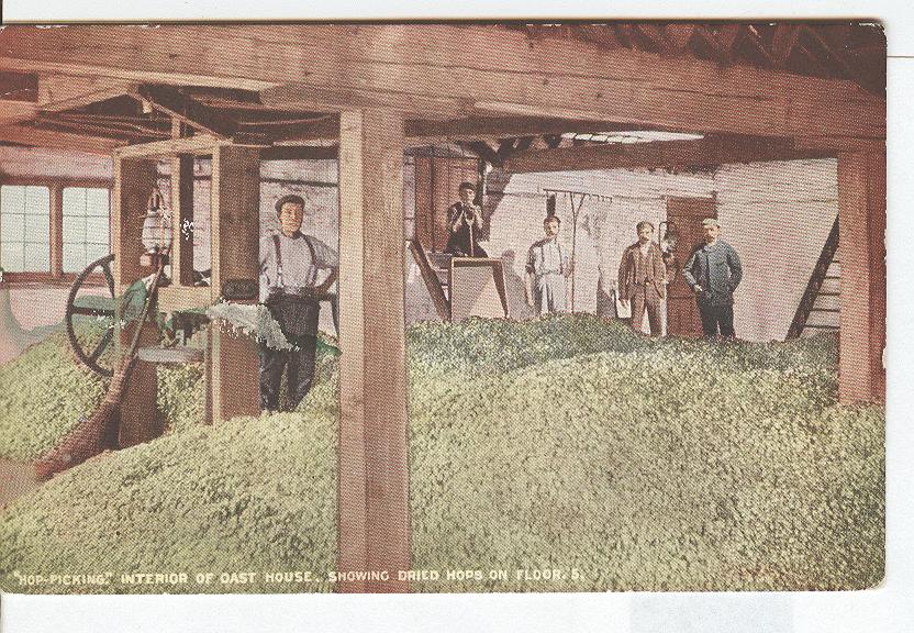 "Hop Picking" Interior of Oast House Showing Dried Hops on Floor