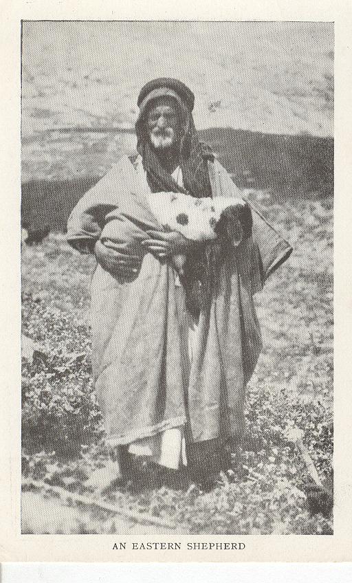 An Eastern Shepherd