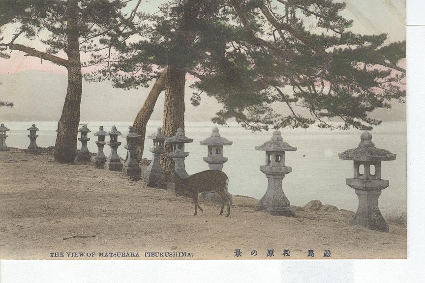 1909 Japan...The View of Matsubara
